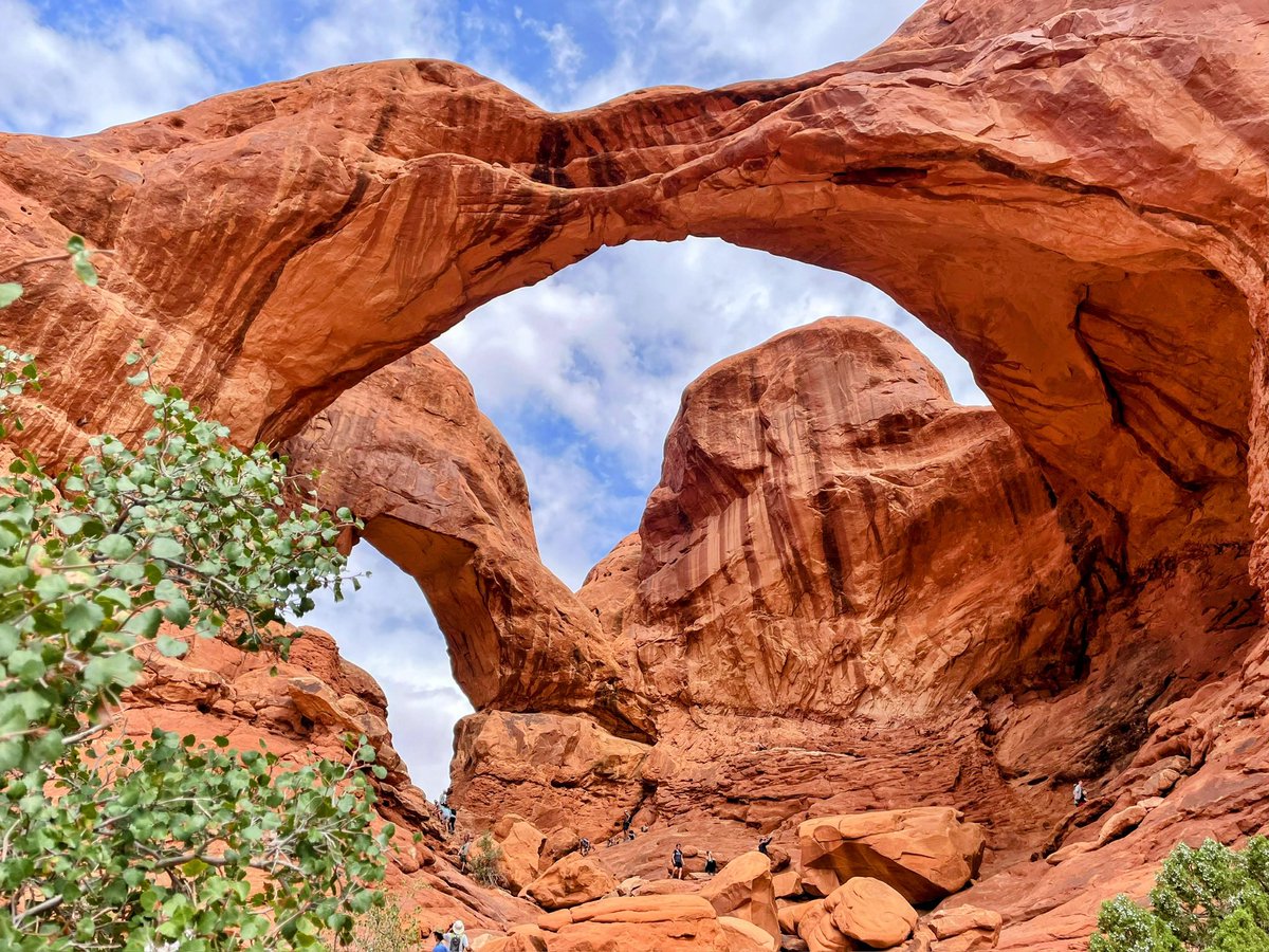 Michael (@michael32538081) on Twitter photo 