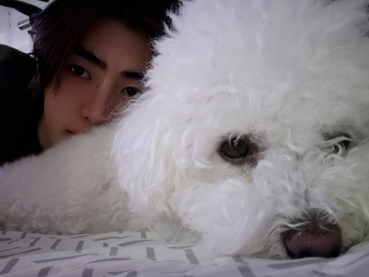 seonghuin's tweet photo. She’s want to say “have a good night!” before sleep. https://t.co/61sd7EBNkk