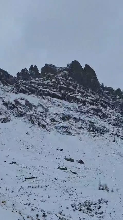 Saliinvetta's tweet photo. Val Gerola, nel cuore del Parco delle Orobie Valtellinesi 💙🐓
Qui trovate tutti i dettagli :
https://t.co/84ub6SujF1
#valgerola #sci #montagna #alpinismo #fotomontagna https://t.co/2AqzogdPKI