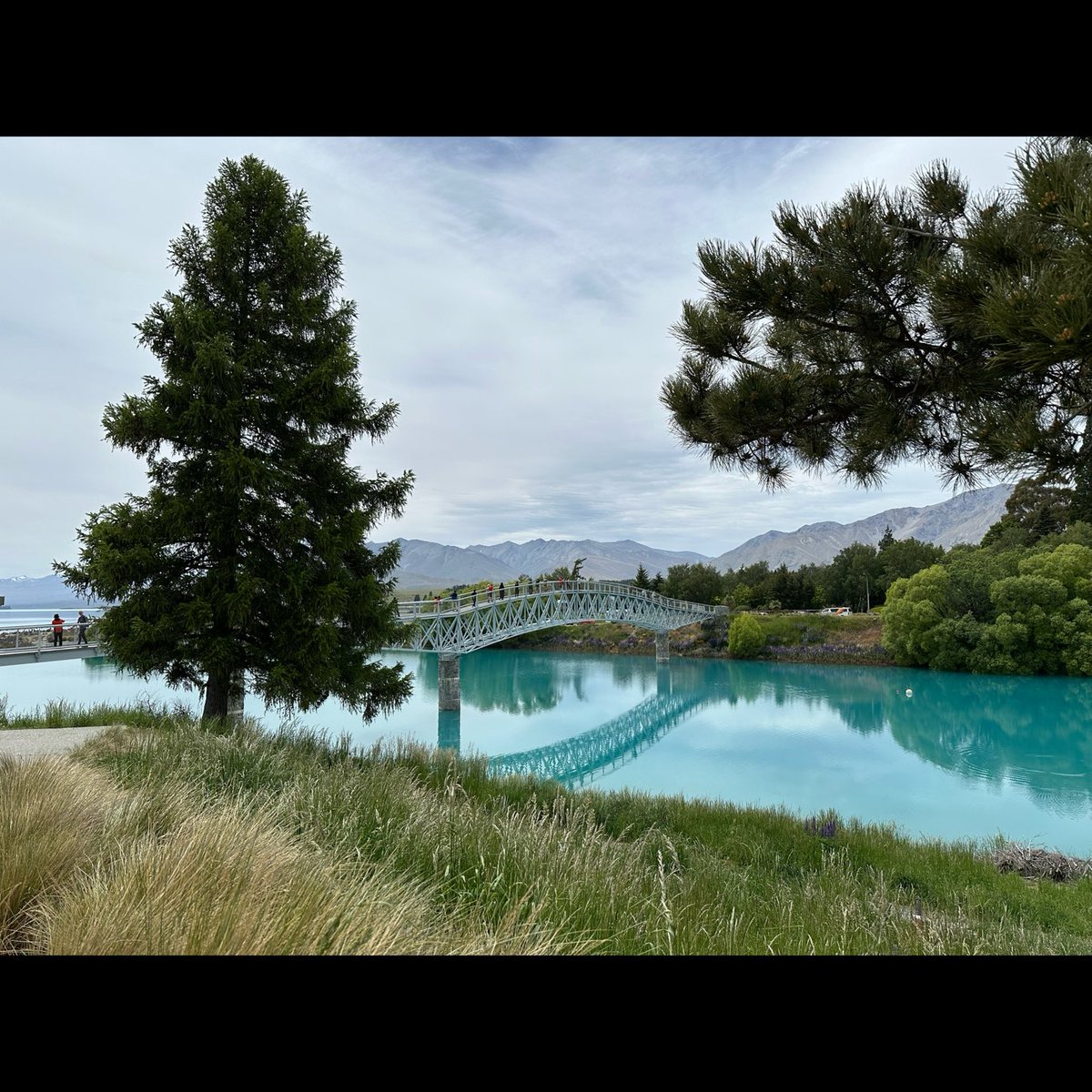 HannahVaughan91's tweet photo. Lake Tekapo, Mt Cook, Lake Hāwea & Wānaka 🇳🇿 #roadtrip #laketekapo #mtcook #lakehawea #hotelviews #wanaka #newzealand https://t.co/xNhrNsdE05