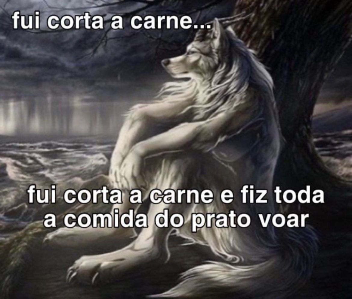 shitpostverdade tweet picture