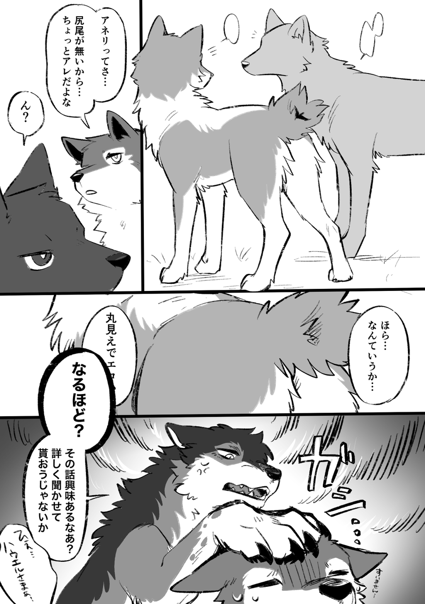 ハウネリ 