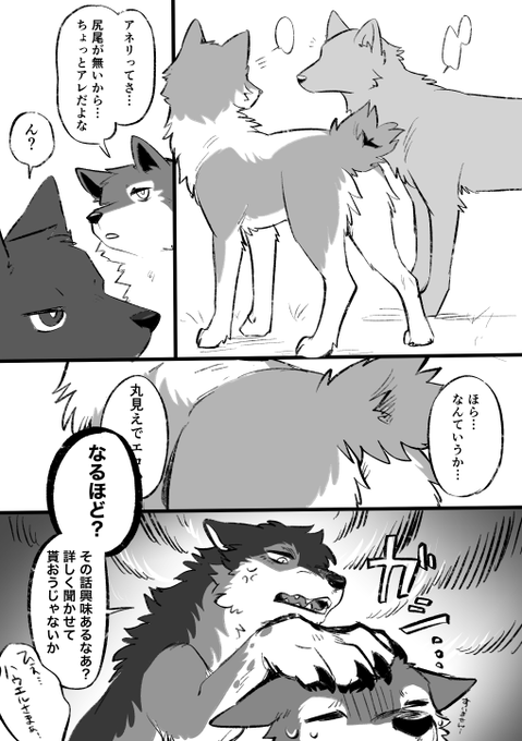 ハウネリ 