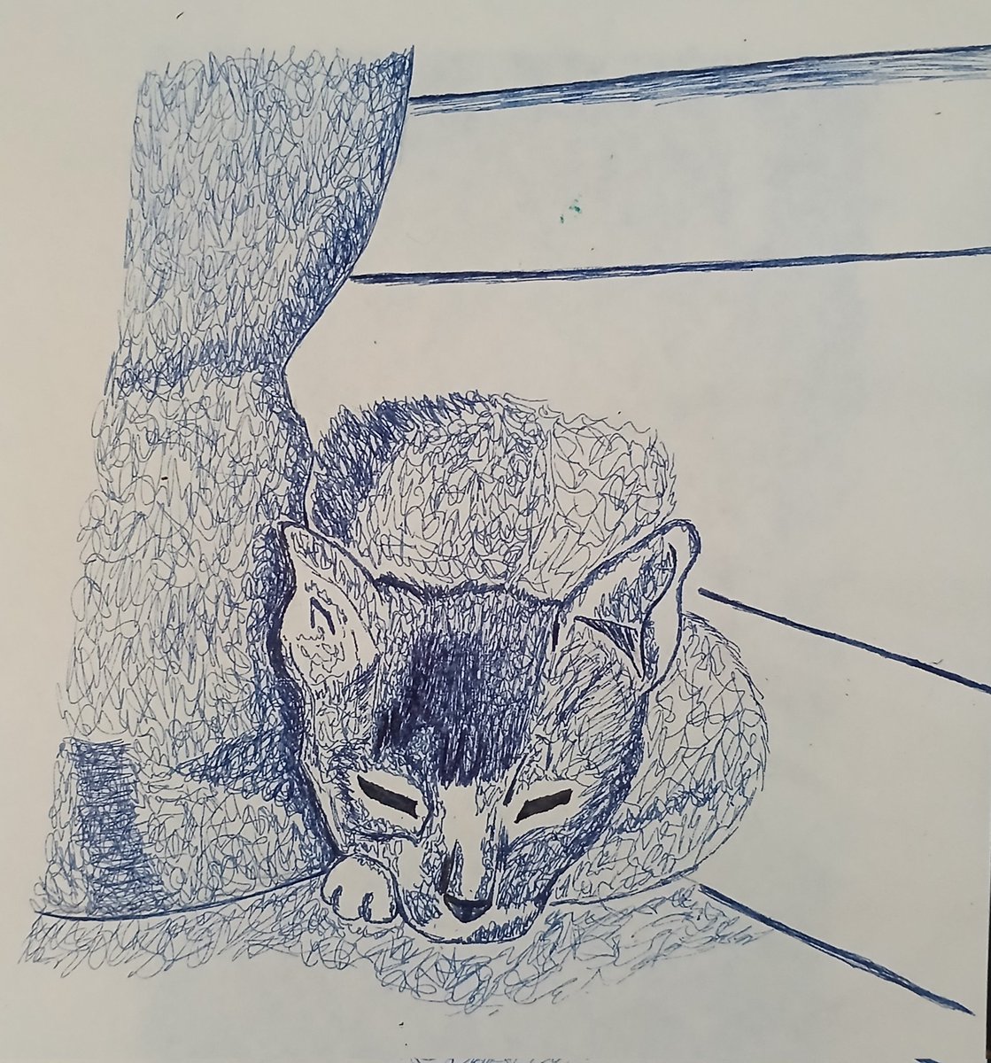 #art update:

I've been trying to learn how to draw with my fountain pens recently.

I think this is the first one that I actually like!

#drawing #ink #cats #sketching