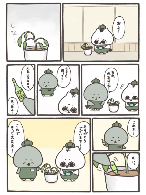 観葉植物 