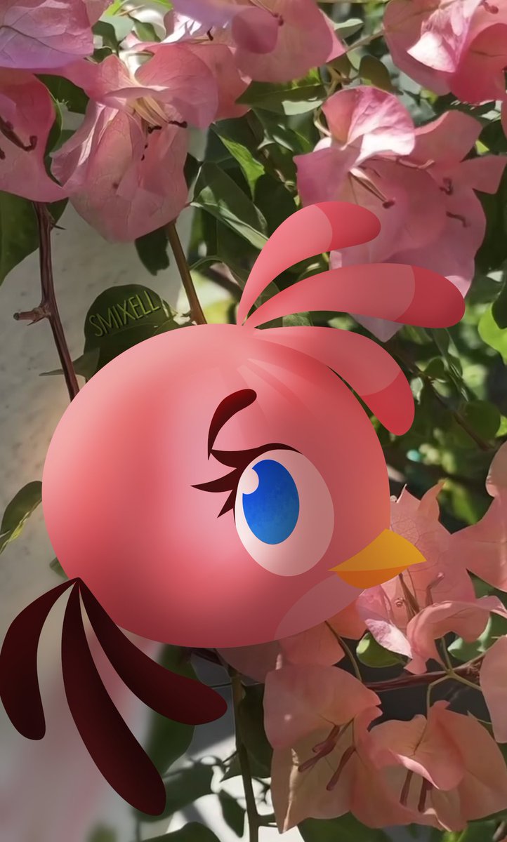 SMixell tweet media