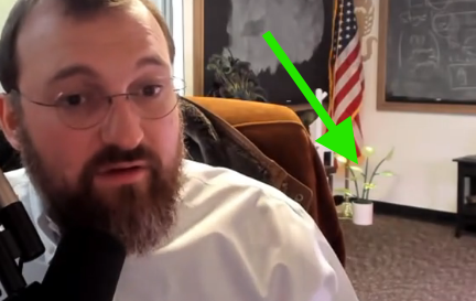 LeaderAlphaNews's tweet photo. #GhostFire plant spotted in the back corner by the American flag 👀 https://t.co/45zjwH11JS