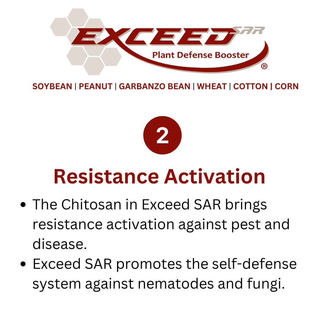 Part 2. The active ingredient in Exceed SAR is Chitosan. When choosing a chitosan product, it is important to understand that not all chitosan is the same. Follow along to learn how the chitosan sourced for Exceed SAR outshines the competition. Visit hubs.li/Q030plRx0