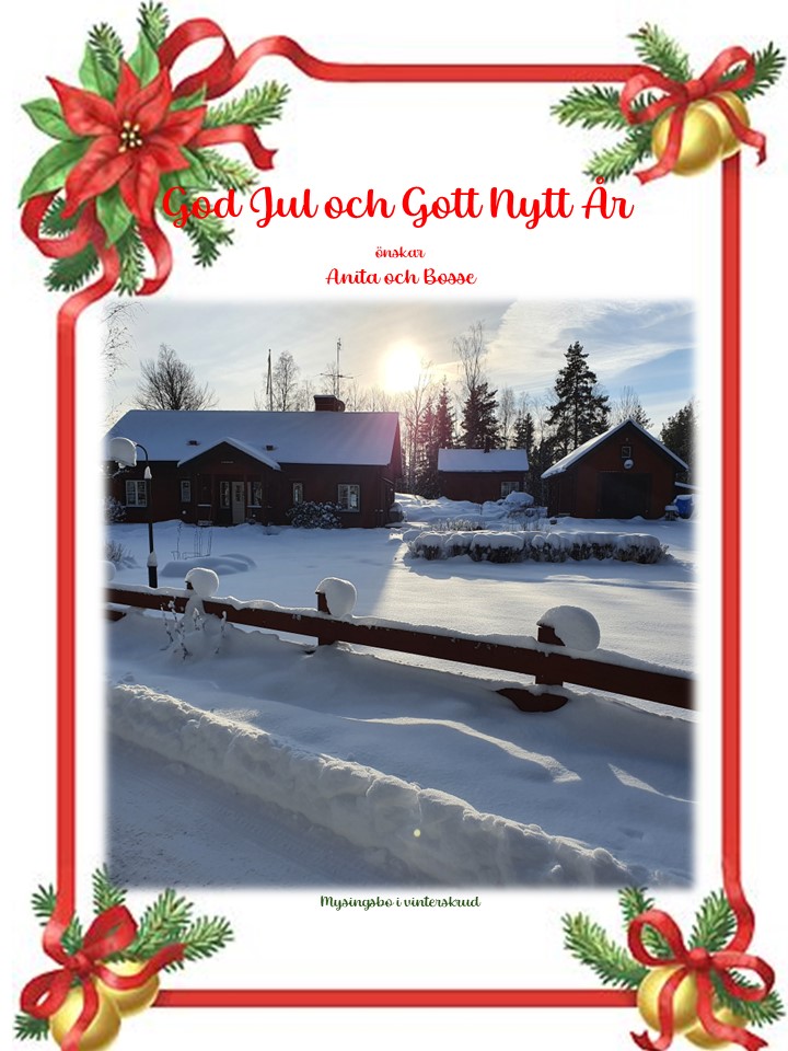 ViLirare tweet media