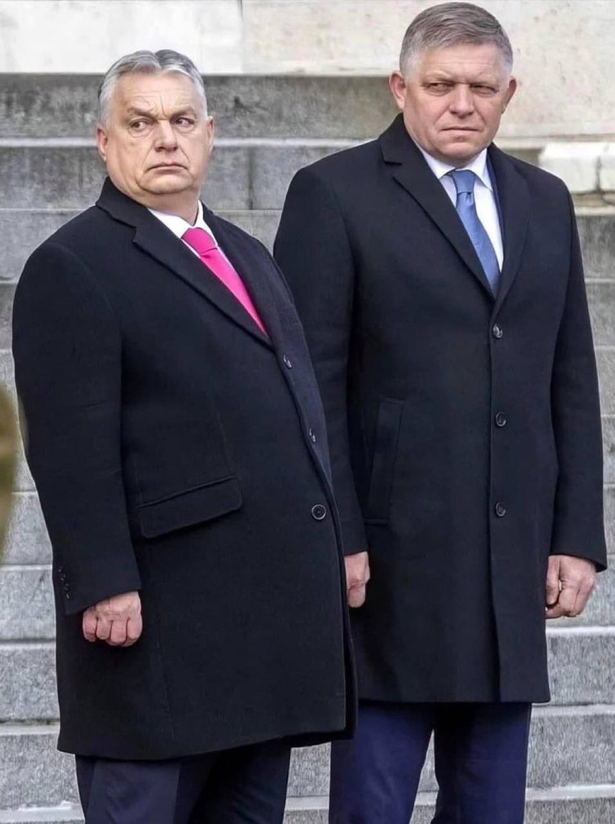 Prof. Orhan Dragaš, PhD tweet media