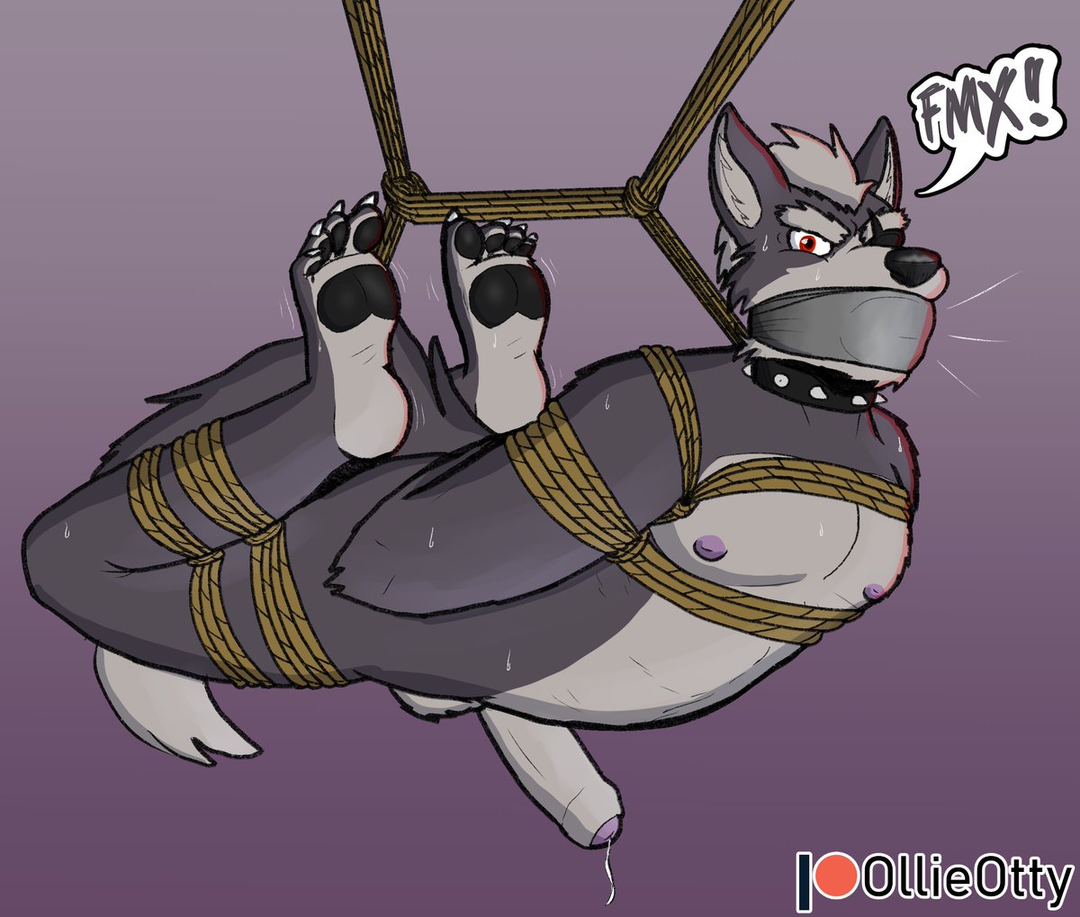 OllieOtty's tweet photo. Wolf isn't happy... https://t.co/rkYKMvvdLa