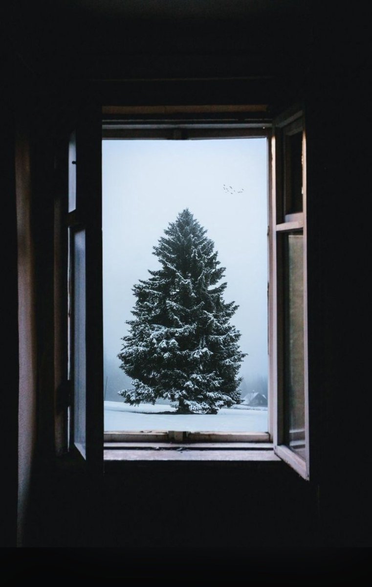 FOTINIMAVROMATI's tweet image. Pause