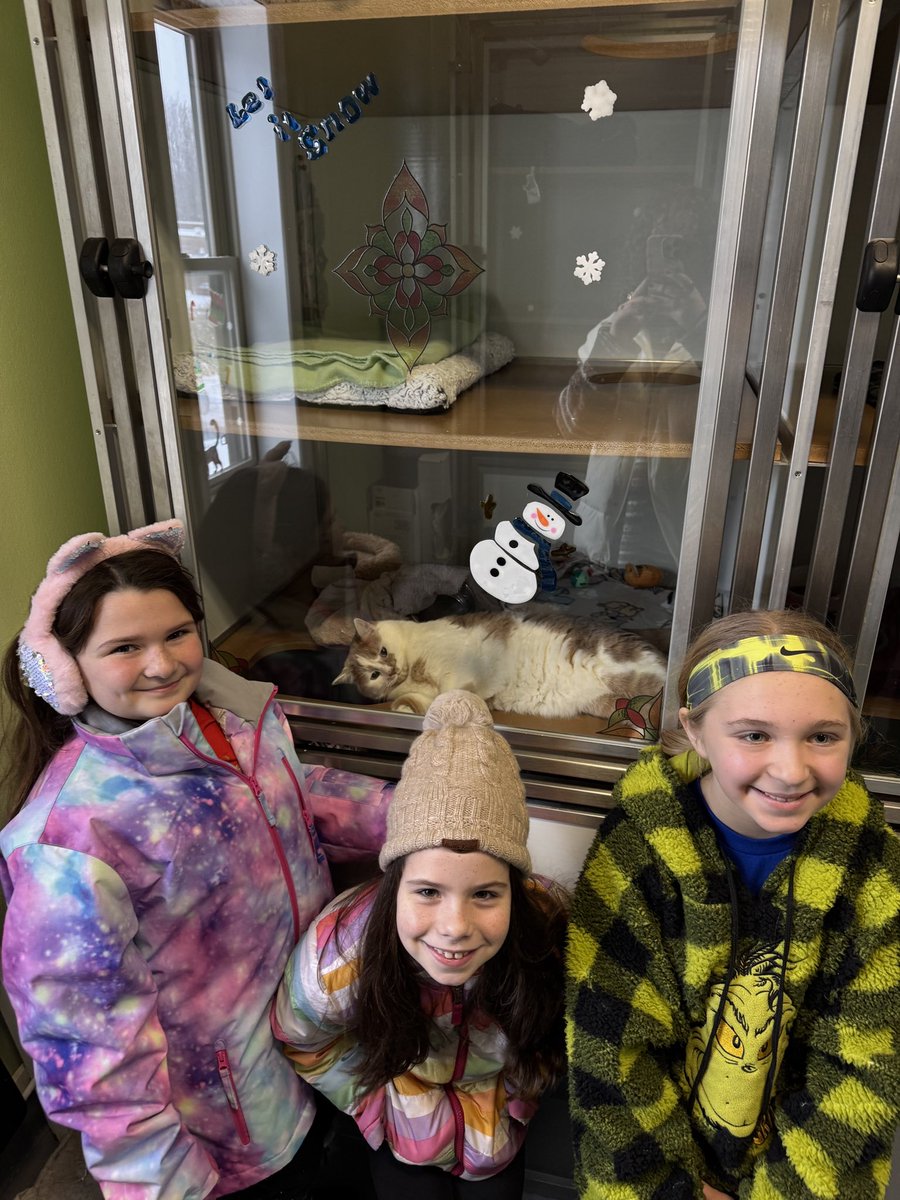 Cato-Meridian Elementary School tweet media