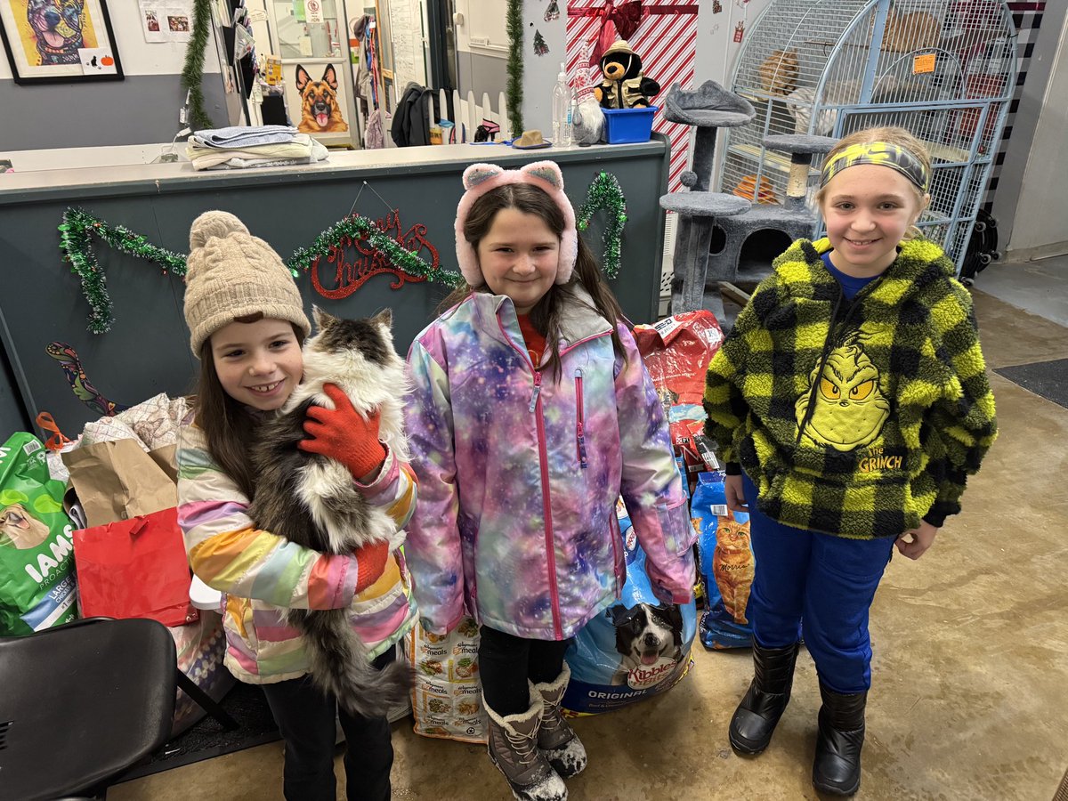 Cato-Meridian Elementary School tweet media