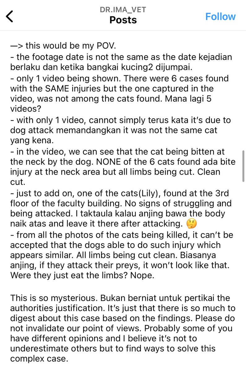 nolongerskek's tweet photo. Cctv yang Caprice release tu, November. Case happened in December this month.

Second, what happened in the video is the dog “scruffing” the dead cat’s body. Tak ada video diorang rip it apart. Fikirla, tinggal sampah tak tutup pun anjing korek, apa lagi bangkai?/1 https://t.co/RDDWgNFtlH