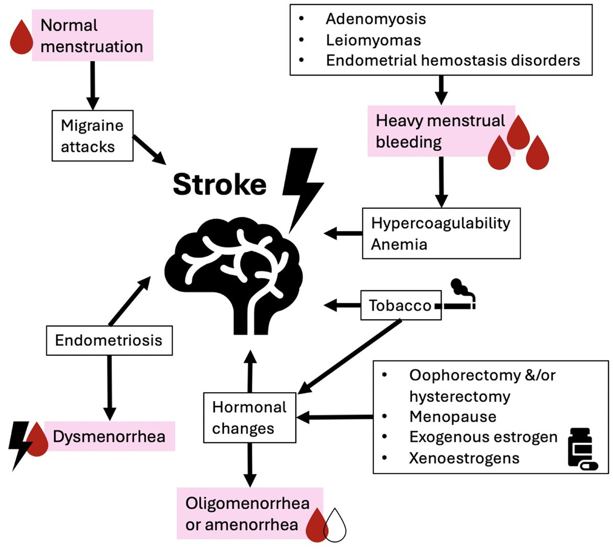 ImmunoFever's tweet photo. I really liked this review on assessing menstruation in stroke risk and outcomes.
Menstrual taboos have held back women's health for too long. We need to talk about menstruation and we need to assess it in research and in medicine!!! #MenstruationScience
https://t.co/d2eZFZkn9Z https://t.co/tUeDKEnnUd