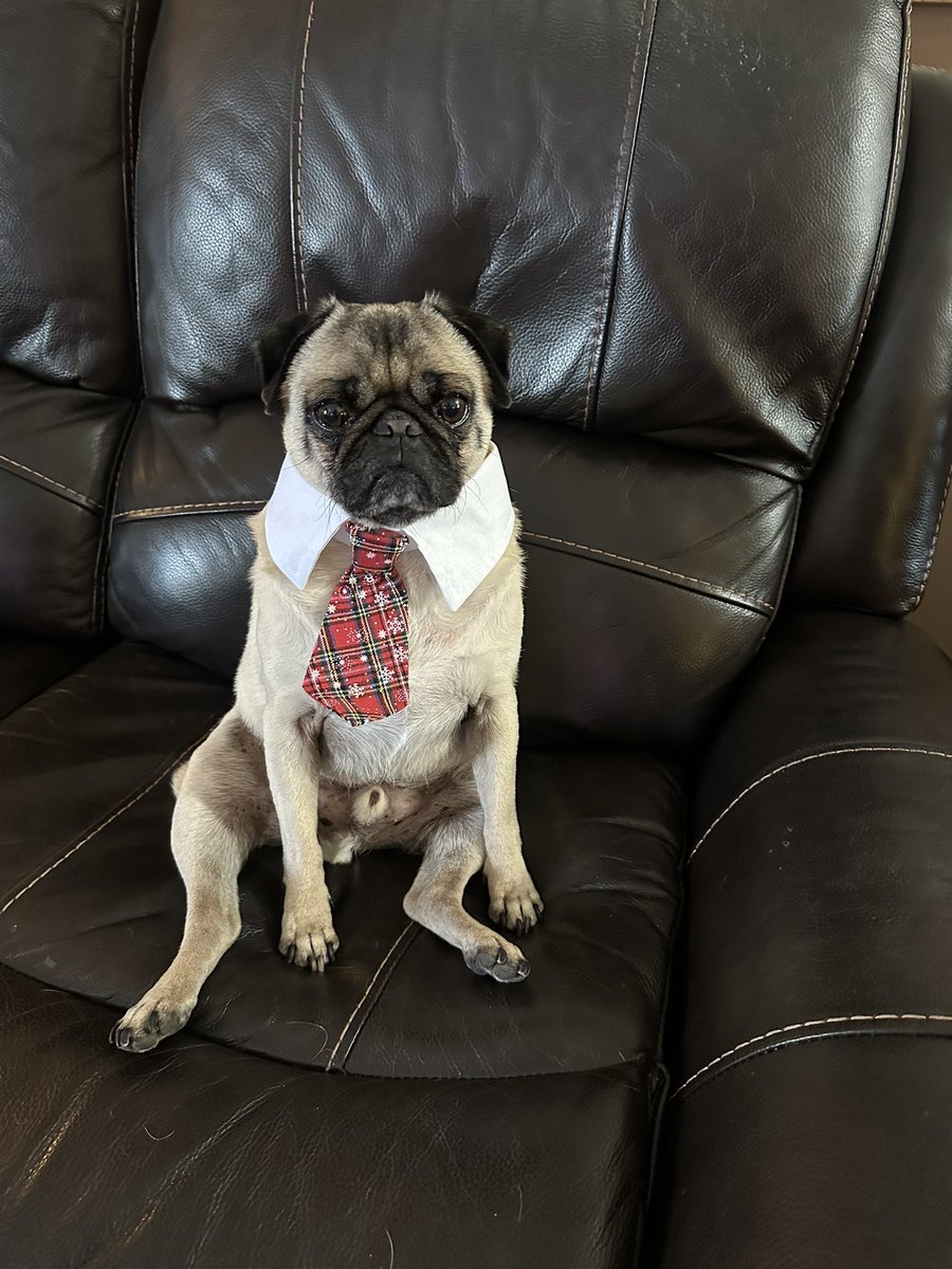 if anyone’s still on here simon wants to wish y’all a happy holiday 💚❤️