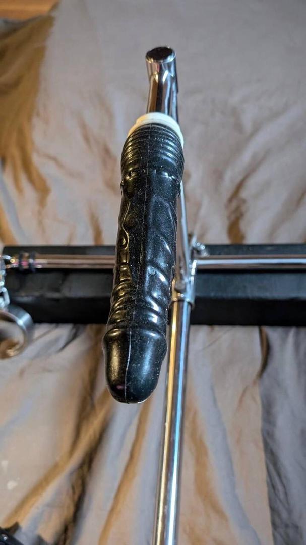 trans cintia allin (@transallin36981) on Twitter photo 