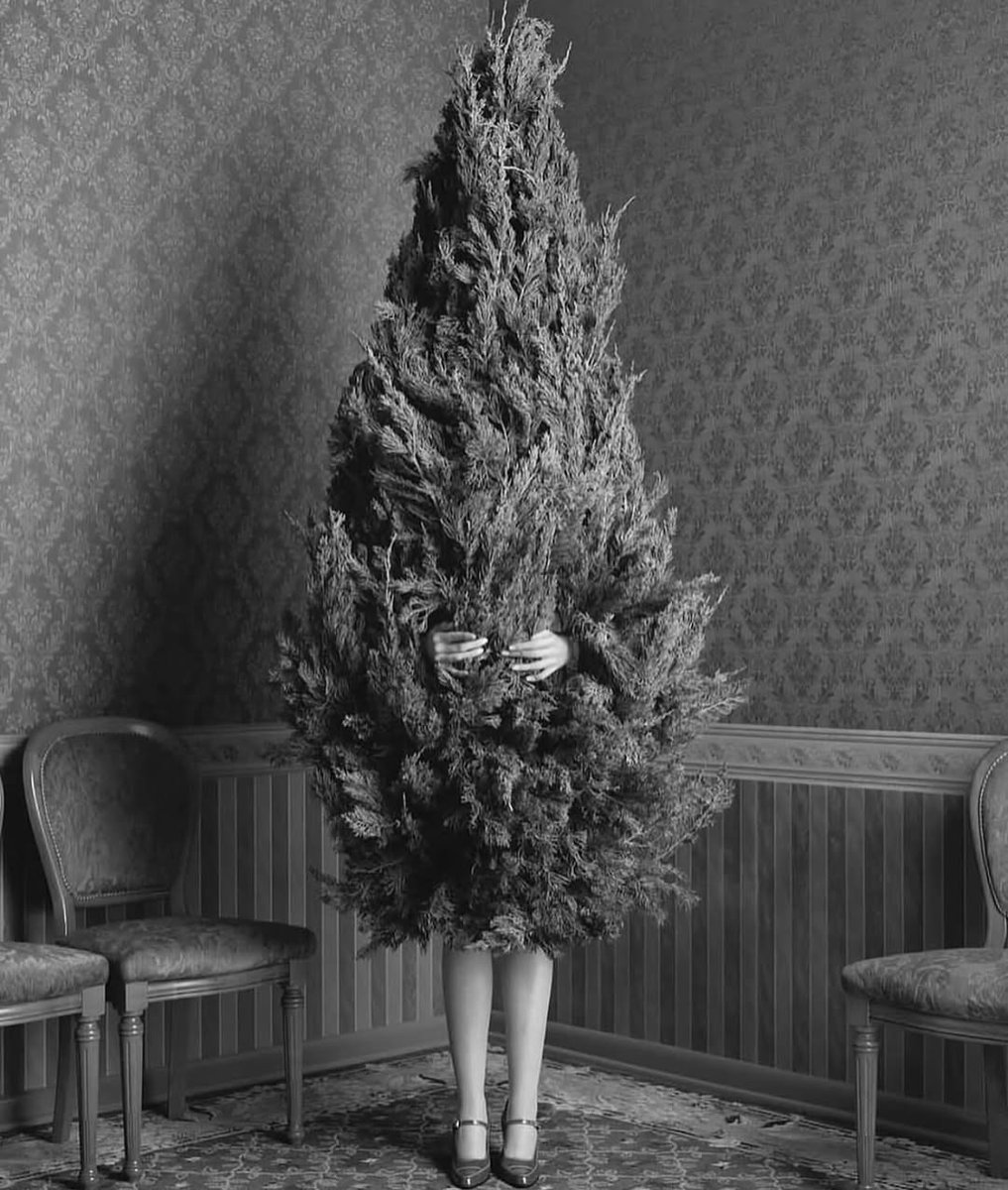 IrenaBuzarewicz's tweet photo. December 22 https://t.co/Oi6SpZIOKX