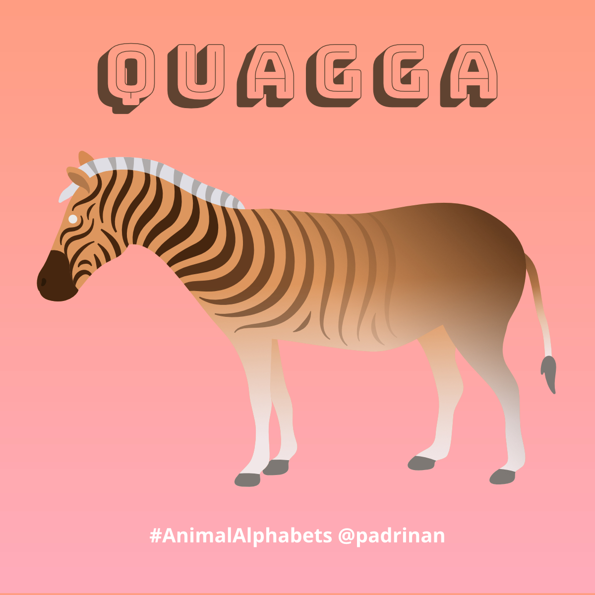 Quagga. <a href="/AnimalAlphabets/">Animal Alphabets</a> #AnimalAlphabets #AnimalIllustrations #vector #vectorart #quagga