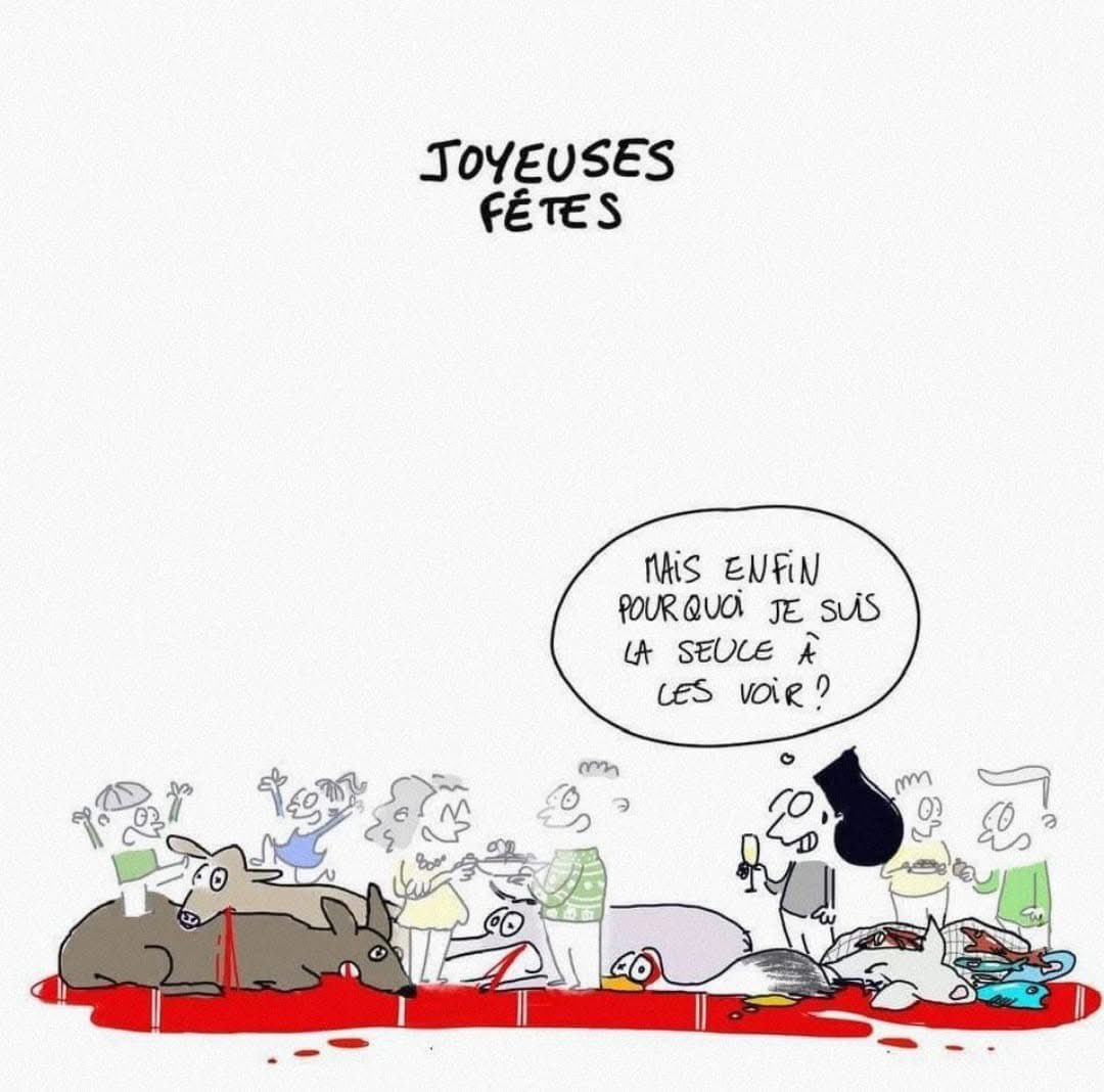 florimond_p's tweet photo. Joyeuses fêtes, par @RosaBDB12 🎄 https://t.co/6IDaG80MJJ