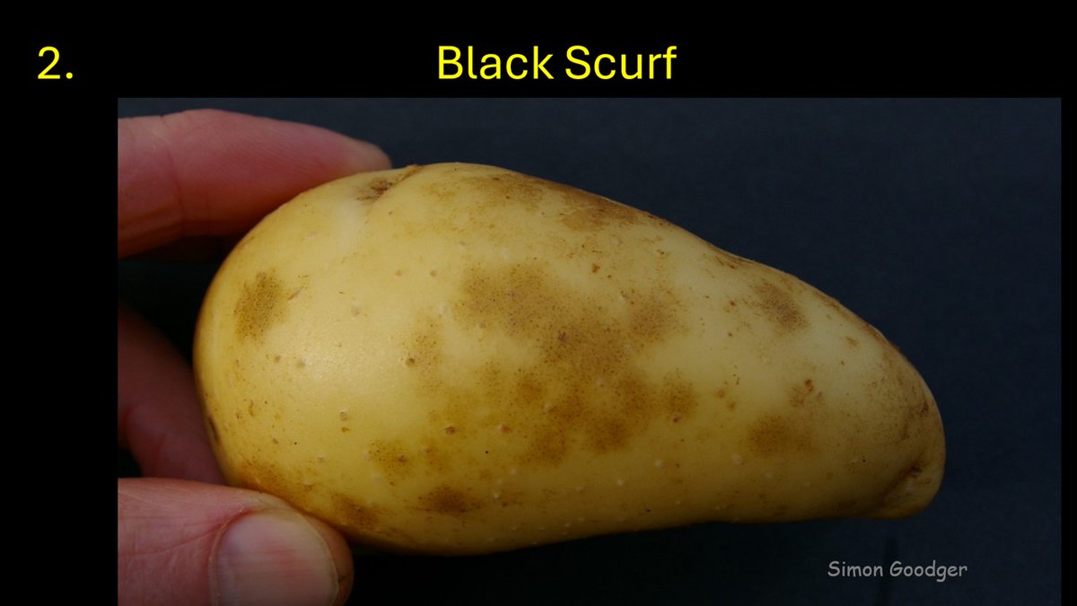 Simon Goodger tweet media