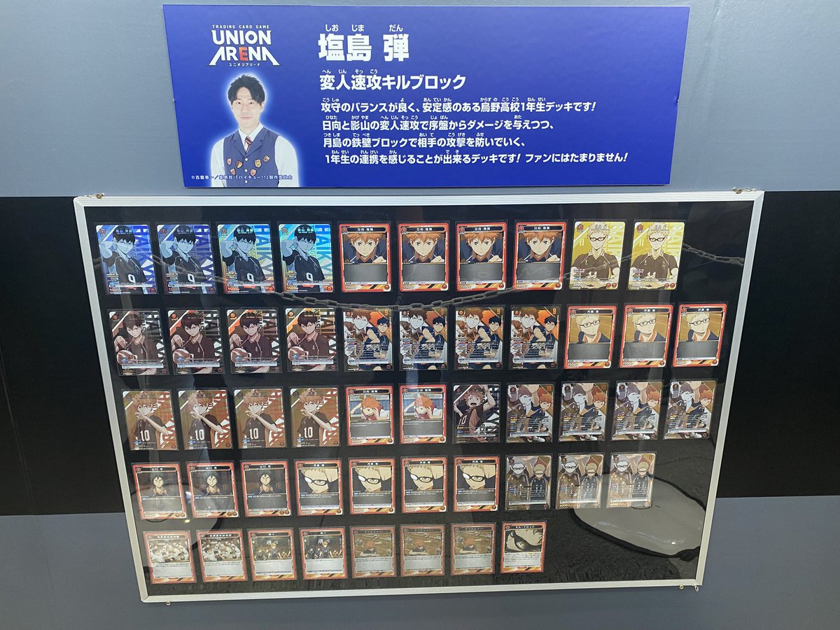 ユニオンアリーナ 赤 烏野高校 ハイキュー 2デッキ 【公式通販】