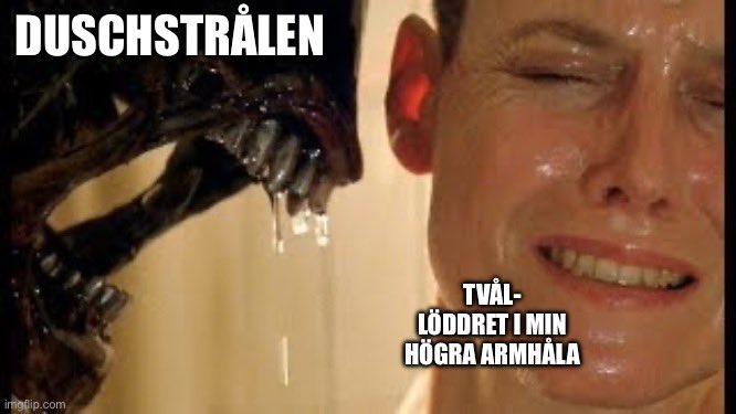 Flarne (@flarneflarnsson) on Twitter photo 