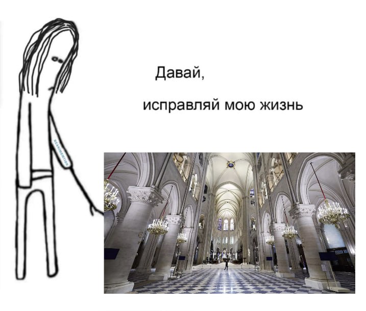 некоторое политическое мнение tweet media