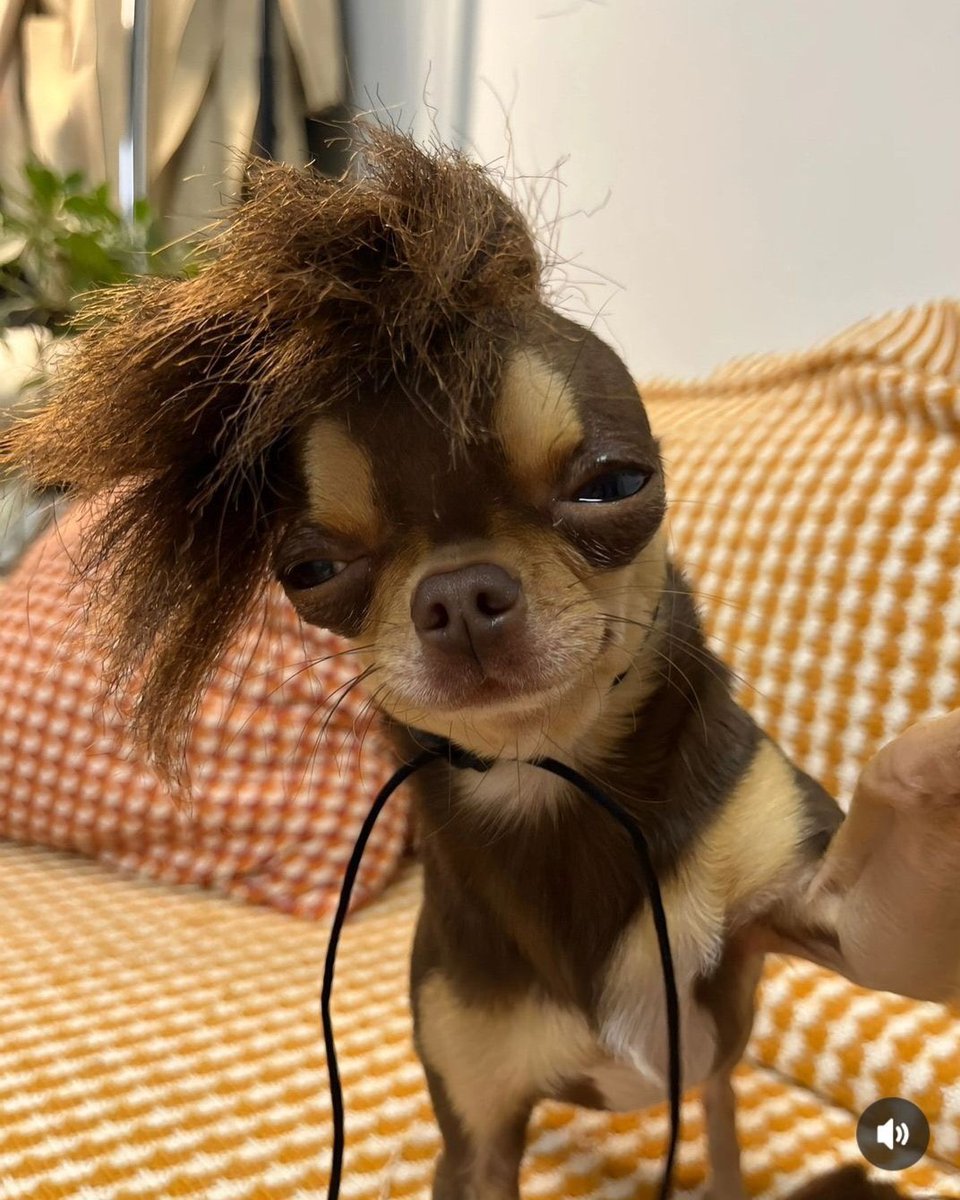 요즘플챗보면진짜이래됨