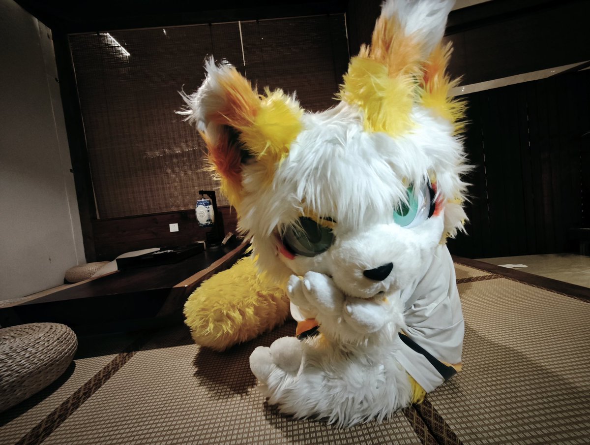 #FursuitEveryday 
手机可真是比相机好用太多了.jpg
<a href="/Ceneri233/">Ceneri</a>