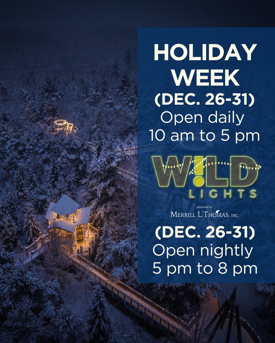 🎄 Celebrate Holiday Week at The Wild Center! From December 26–31, we’re open every day and Wild Lights happens nightly (separate ticket required).
Get tickets: hubs.li/Q030nrLG0