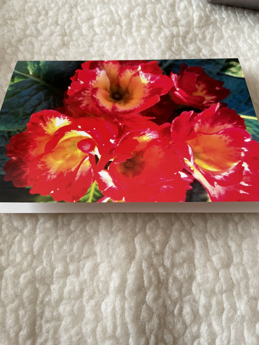 #kindnessbypost 
Thank you Martin for my card &amp; letter
Merry Christmas to you 🎄