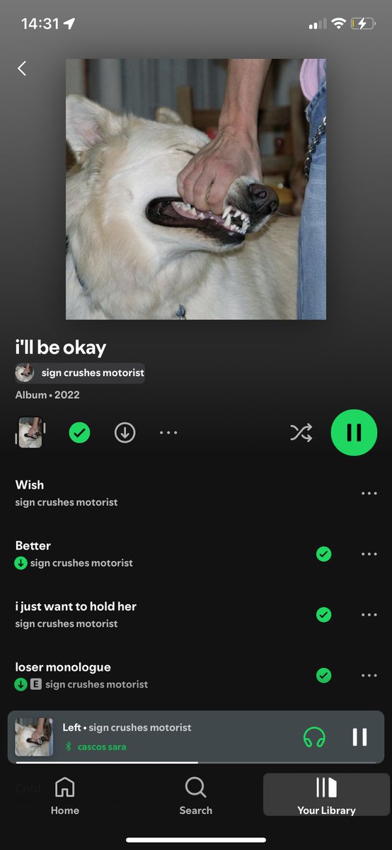 holademonios's tweet image. kill yourself album… best discover 2k24