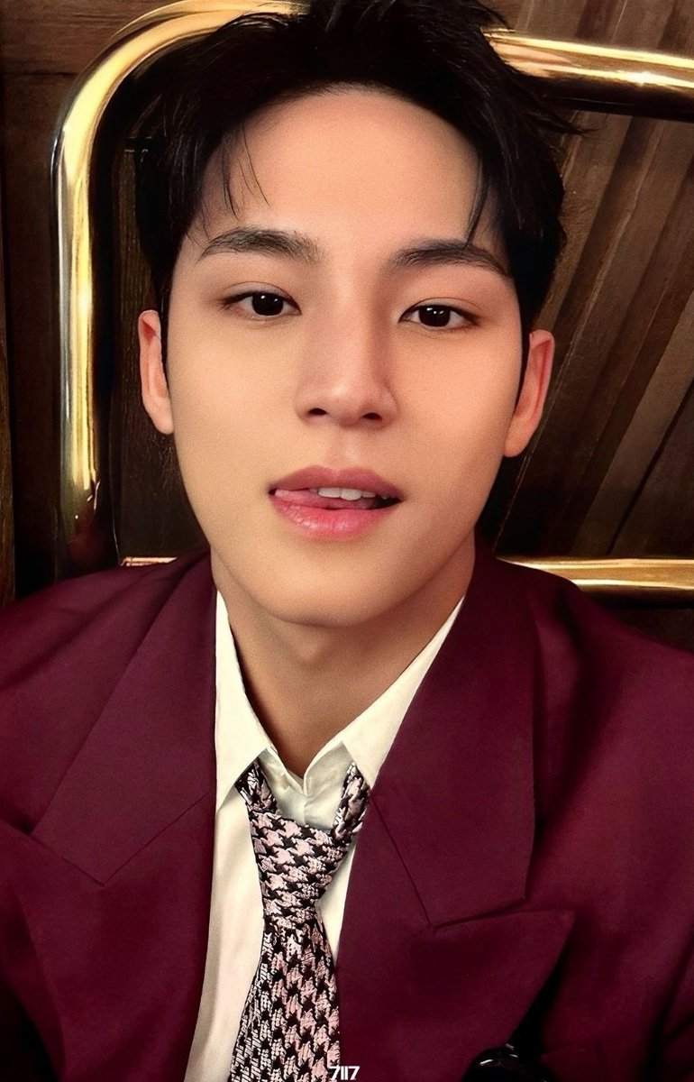 dearbngtn's tweet photo. wtb mingyu spill the feels carat ver ph 🙂‍↕️ https://t.co/YXzY6qjITg