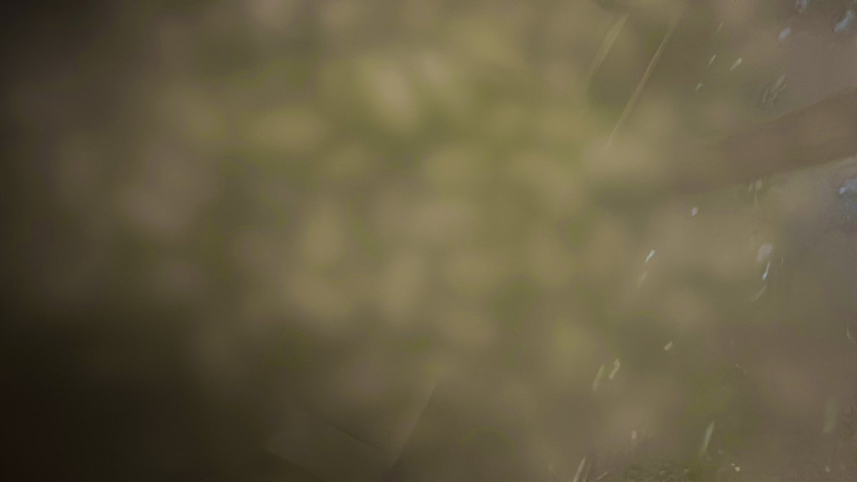 aicando's tweet image. Alice in wonderland #冬至2024