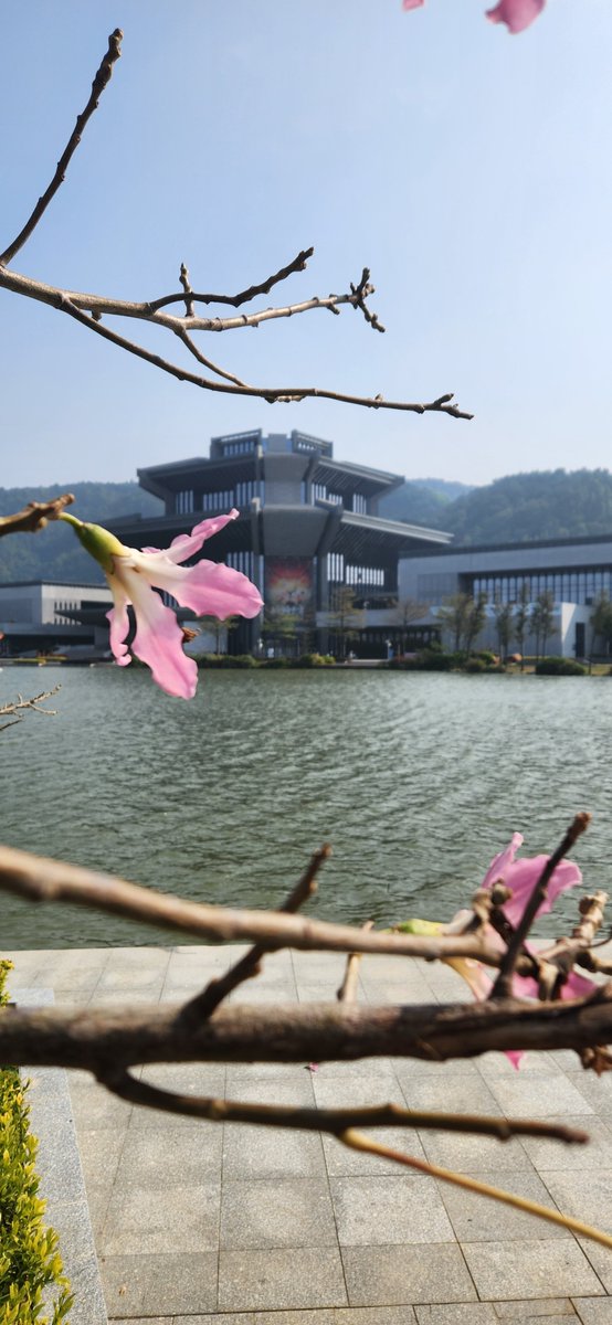 "One moment can change a day, one day can change a life, and one life can change the world." Buddha

#Photography #ChinaTravel #CityScape #PhotoOfTheDay #GoodVibes #CityLife #KalajariArt #kalajari #Streets #Crofam #NFTartist #NFTCommunity