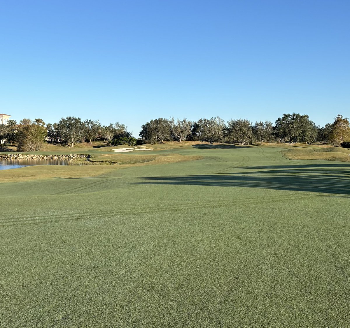 ChaneyBrett's tweet photo. Chilly 46 degree morning in SW Florida.. https://t.co/TCuIcGUuPd