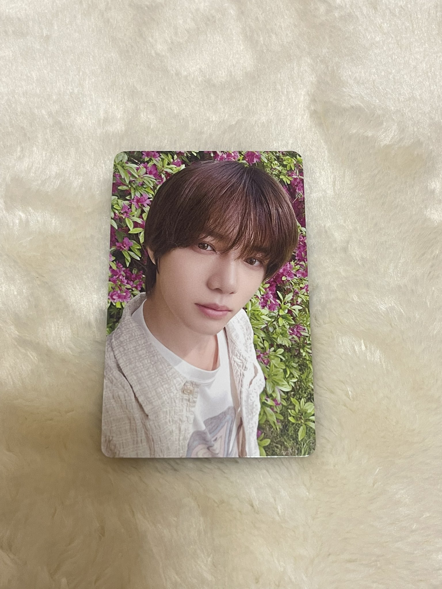 🐰 (@oZ0TtoLAixc4uTh) / X