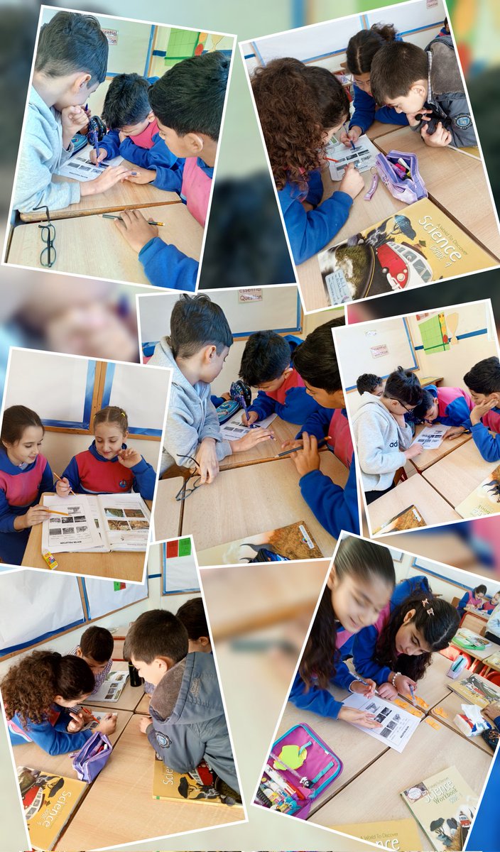 "Alone we can do so little; together we can do so much."  🤝✨
🌱 G4D  learners engaged in cooperative learning to reinforce their understanding of the causes and effects of water pollution, emphasizing its impact on both people and the environment.<a href="/soha_nj/">Soha Najem</a> <a href="/makdawhaschool/">Makassed Dawha School</a>
