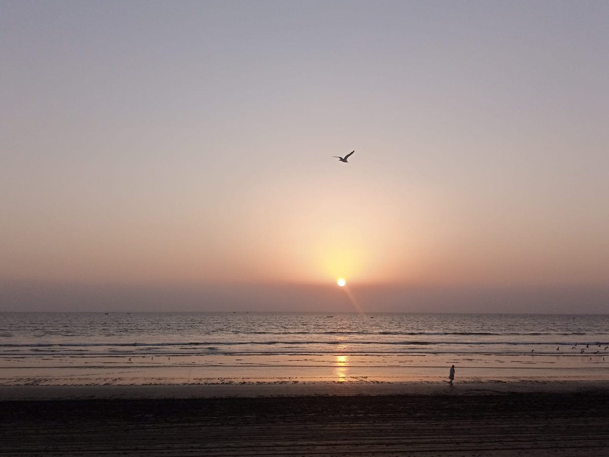ارم tweet media