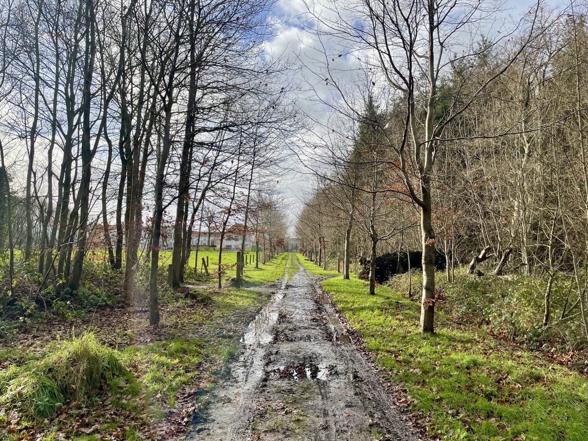 EddyMisman's tweet photo. #vrtweer ⁦@BuienradarBE⁩ ⁦@HetweerinBelgie⁩ Wingene 13u05 #natuurloop🏃‍♂️ https://t.co/OH1L4dYPkK