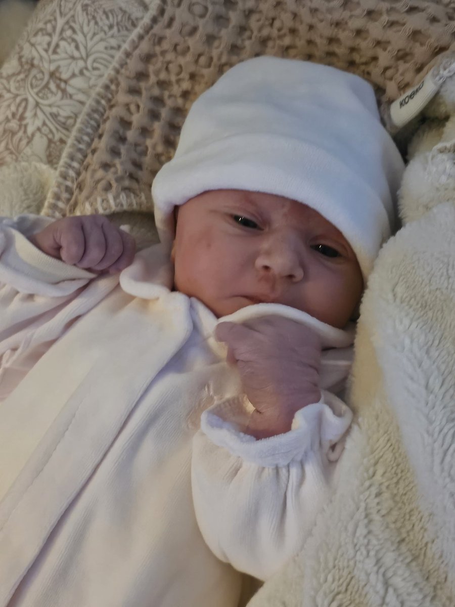 JOY TO THE WORLD!! Cataleya-“Joy” Amarillas-Boer. Ons bundeltje Joy is geboren! Zó mega trots 🩷