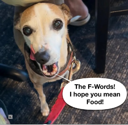 vickierubin's tweet photo. The F-Words https://t.co/vgZSY8S21i https://t.co/pp5Owp6rlL