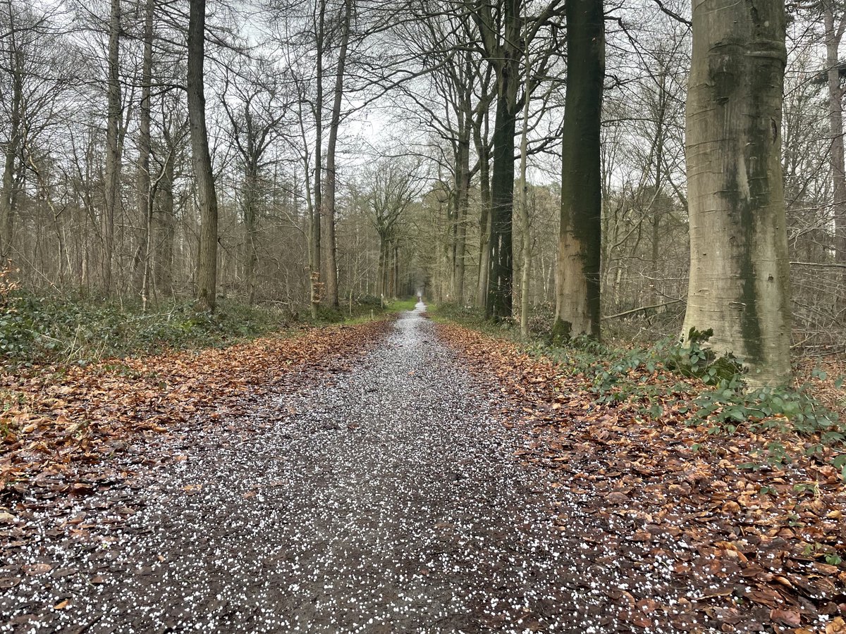 EddyMisman's tweet photo. #vrtweer ⁦@BuienradarBE⁩ ⁦@HetweerinBelgie⁩ Beernem 12u50 #natuurloop🏃‍♂️ https://t.co/QEbTI4AzzZ