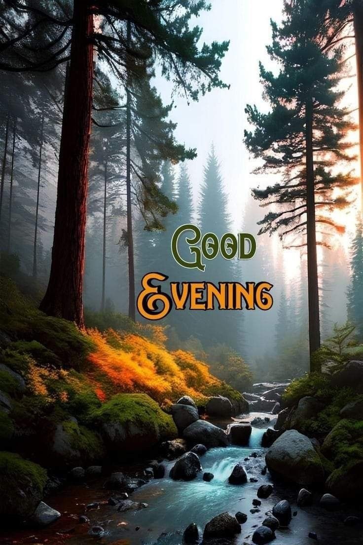 itxrobabfa63376's tweet image. Good Evening 
Have a pleasant time...