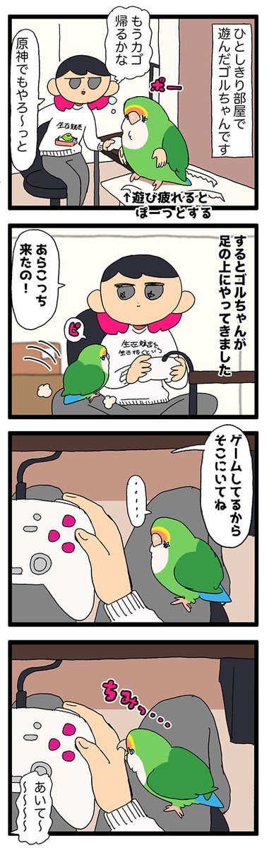 ゴルちゃん、飼い主に構って欲しくてちみちみちみちみ噛み・・😳

2000 #えるポピの絵日記かくところ 