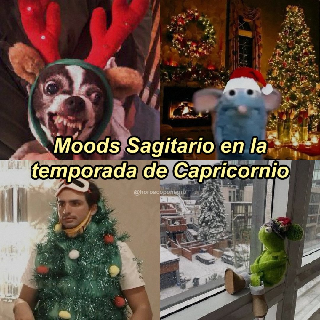 Estos son los moods de Sagitario ♐️ en la temporada de Capricornio 🎇