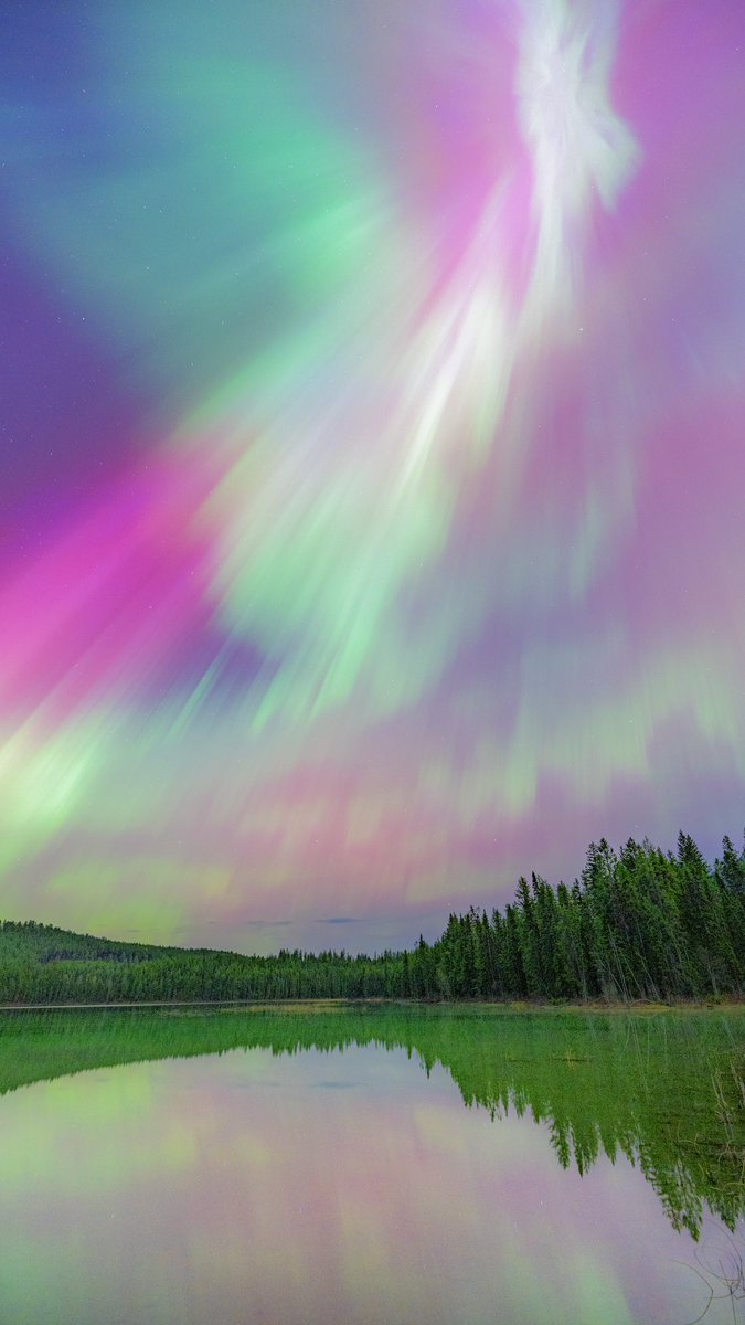 RandyMilanovic tweet media