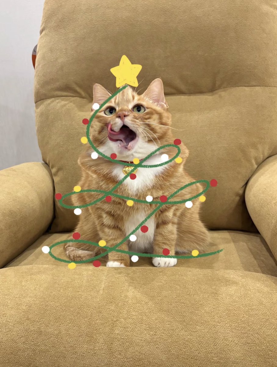 merry christmas 🌲😹